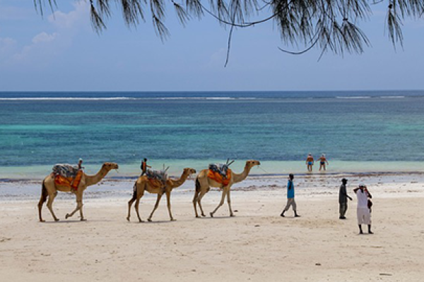 Diani