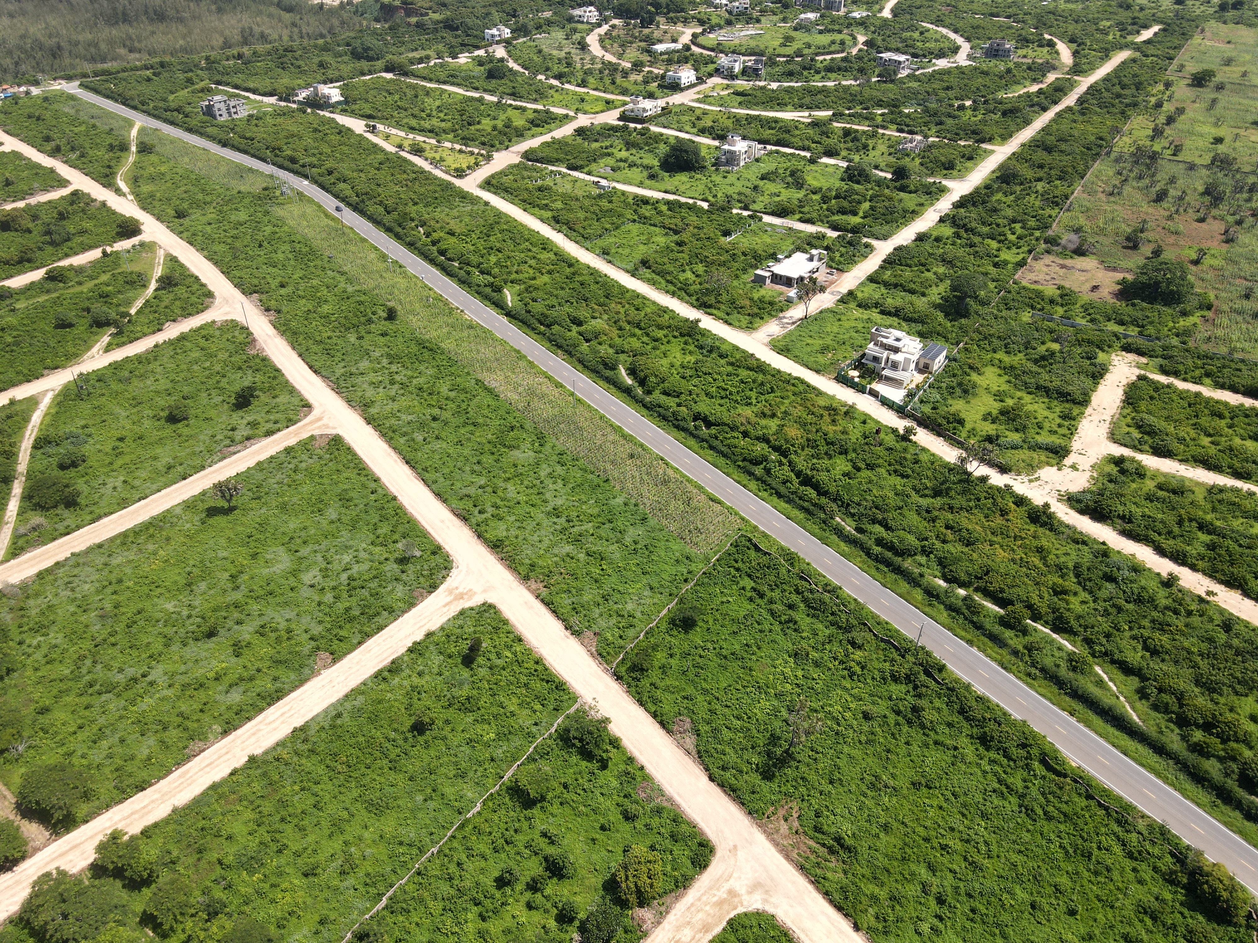 DJI_0121